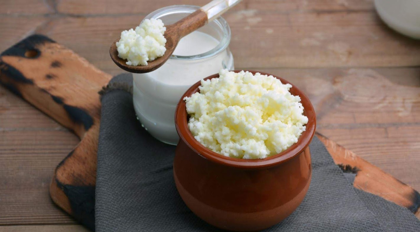 Nấm sữa Kefir – Công dụng và cách nuôi thành công