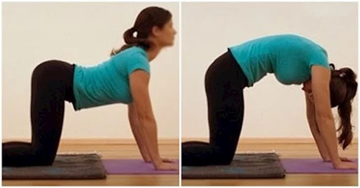 6 động tác yoga giúp giảm đau bụng kinh rõ rệt: Mỗi ngày tự tập 20 phút, tốt cho cả t.ử cung