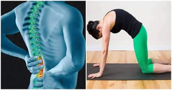 5 tư thế yoga trị đau lưng, tăng đàn hồi xương khớp: Chỉ 15 phút mỗi ngày mà khỏe người, đỡ tốn tiền thuốc